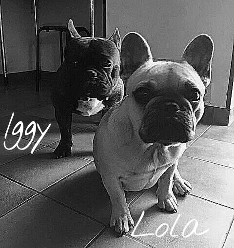 De La Futaie Des Merveilles - Lola et Iggy