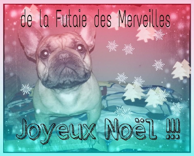 De La Futaie Des Merveilles - JOYEUX NOEL