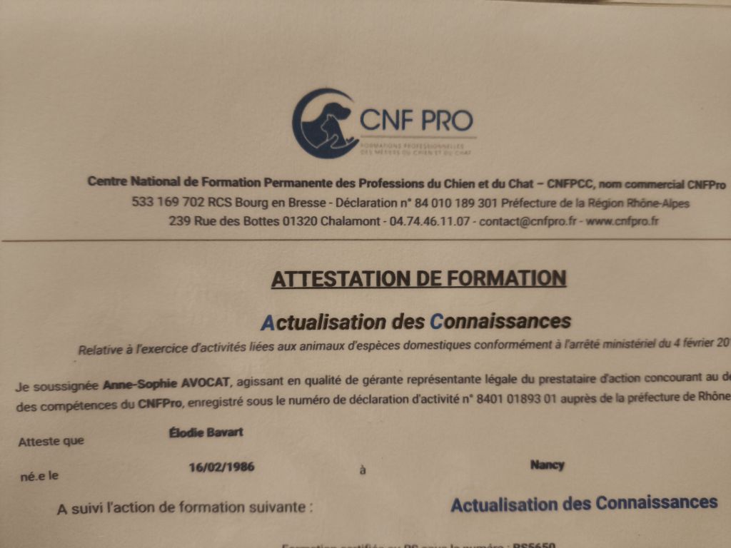 Attestattion d'actualisation des connaissances 